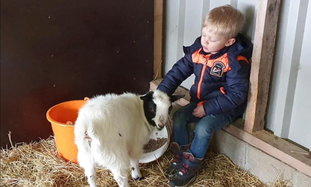 Vakantieboerderij Huize Nuis Noordbeemster Εξωτερικό φωτογραφία